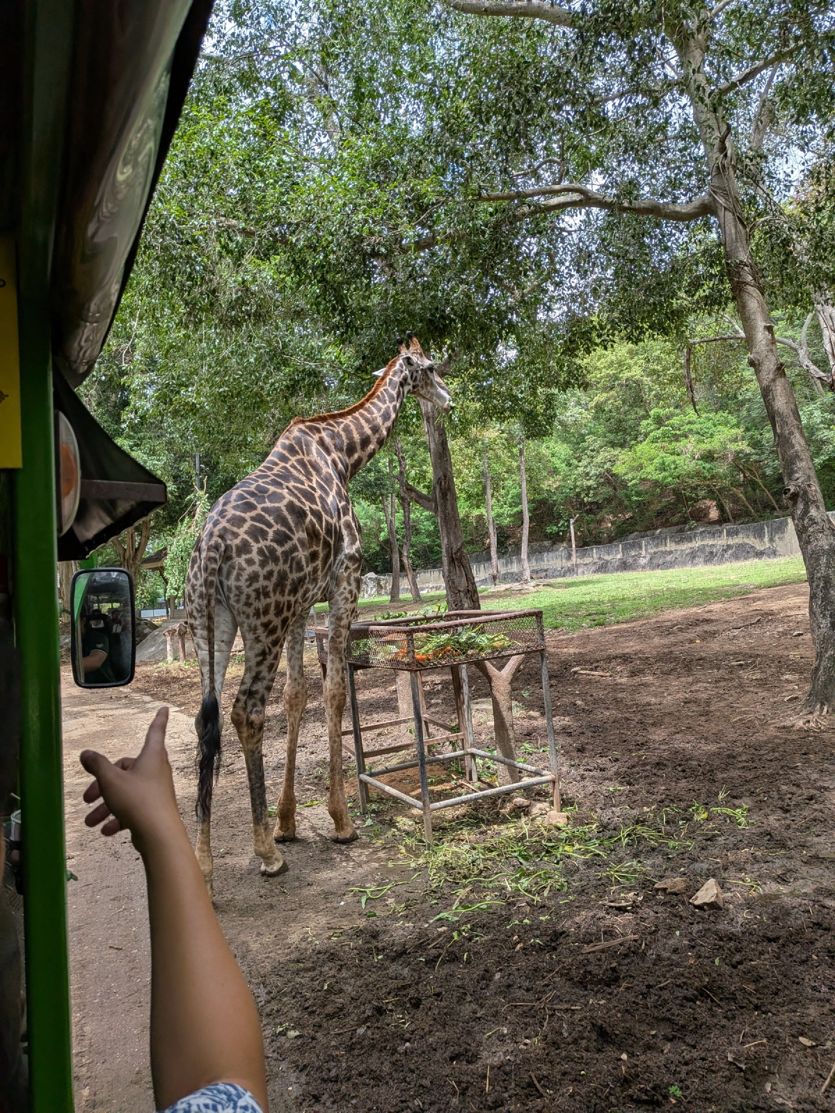 チェンマイ動物園