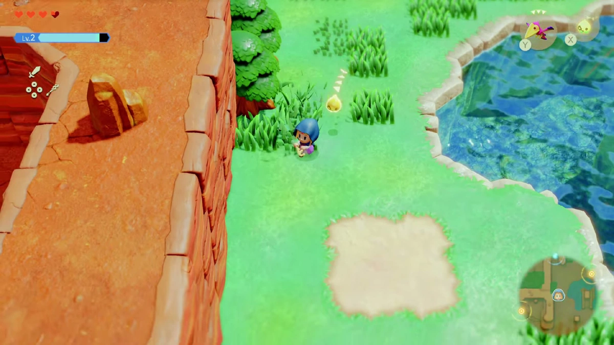 草地のフィールド探索